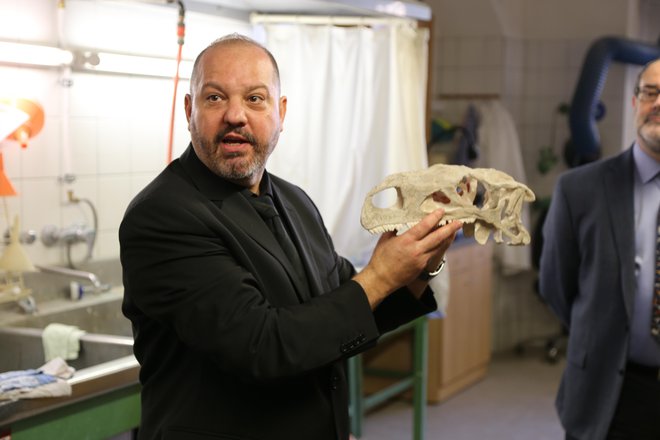 Dr. Mathias Harzhauser, vodja oddelka za geologijo in paleontologijo dunajskega prirodoslovnega muzeja, z lobanjo plateozavra
