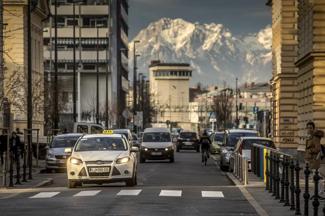 V Taxi društvu Ljubjana vztrajajo, da bi bilo treba razmere urediti po načelu en voznik, ena licenca, eno vozilo. Foto: Voranc Vogel