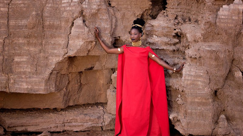 Fotografija: Fatoumata Diawara, nova diva afriške glasbe
FOTO: Aida Muluneh