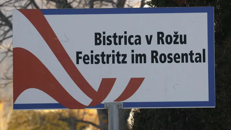 Fotografija: Avstrijska vlada, ki jo sestavljata ljudska stranka in Zeleni, v svojem programu glede narodnih skupnostih med drugim predvideva novo uzakonitev ustavnopravnih določb za narodne skupnosti ter podporo narodnim skupnostim. FOTO: Tomi Lombar