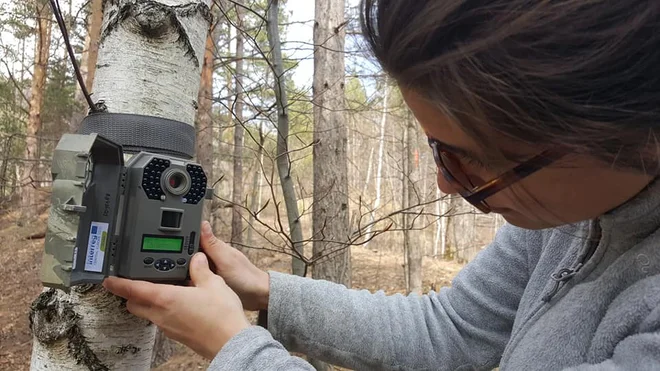 Pri vsaki pasti so namestili dve kameri, ki sta snemali prehajanje živali. FOTO: Maja Prijatelj Videmšek