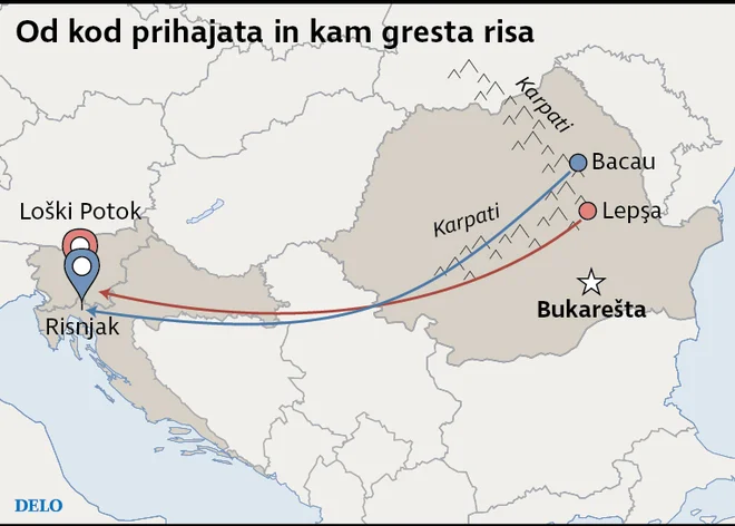 Infografika Delo