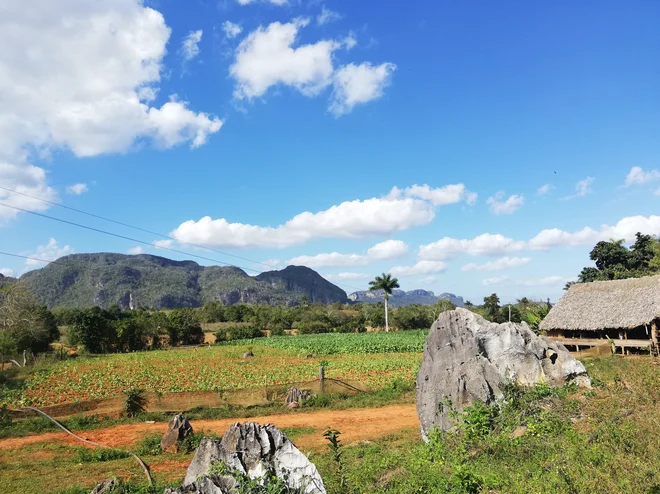 Viñales, ena najbolj priljubljenih turističnih točk na Kubi. FOTO: Katja Miklavčič