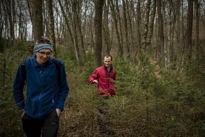 Če nič drugega, smo iskalci naredili nekaj dobrega za naše zdravje. FOTO: Voranc Vogel/Delo