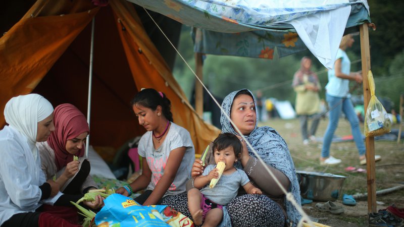 Fotografija: Begunci in migranti v improviziran kampu na obrobju Velike Kladuše. FOTO: Jure Eržen/Delo