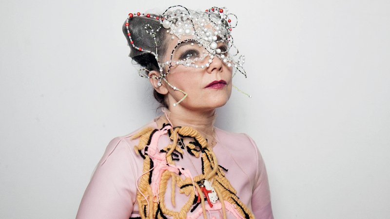 Fotografija: Björk navdušuje.
FOTO: osebni arhiv