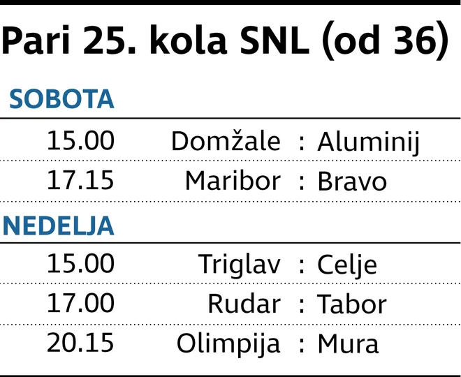 Prvi v akcijo v Domžalah. FOTO: Delo