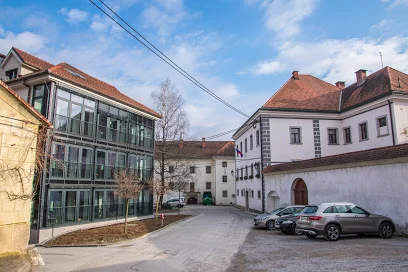 Za Dom starejših občanov Metlika so izdali natančna navodila FOTO: Google Maps