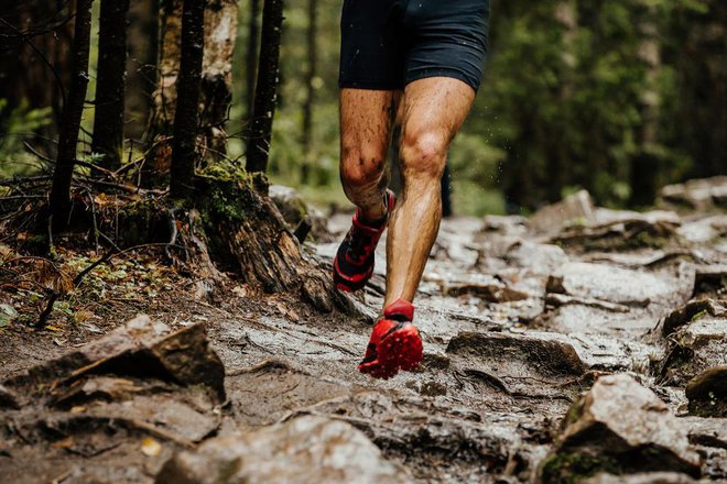 Vem, da se za dober izid na maratonu ne da natrenirati samo s tekom čez drn in strn, vendar tekače najraje pošljem v naravo. FOTO: Shutterstock