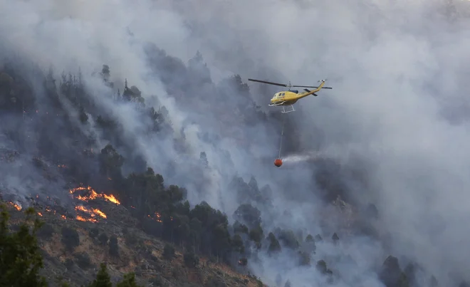 Vročina in suše upočasnjujejo rast gozdov in pospešujejo požare v Afriki. FOTO: Reuters