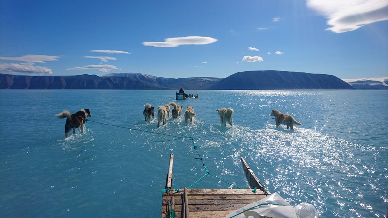 Fotografija: Led je bil včasih varen od februarja do junija ali julija, zdaj zmrzuje pozneje in se tali bolj zgodaj, zato so razmere za lov s sanmi z vlečnimi psi vse bolj nevarne. FOTO: AFP