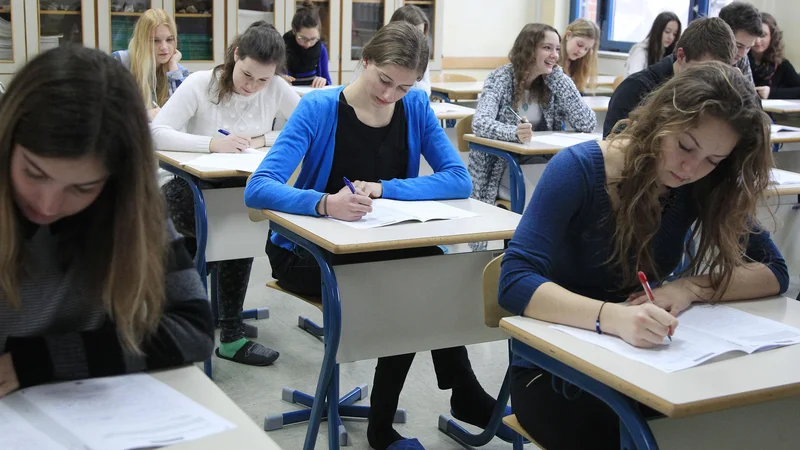 Fotografija: Priprave na letošnjo maturo za zdaj potekajo kot ponavadi, poudarjajo na ministrstvu za izobraževanje, znanost in šport. Foto Leon Vidic