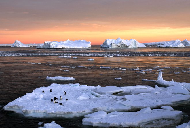 Antarktika (na posnetku) in Grenlandija skupaj na leto izgubljata že 475 milijard ton ledenega pokrova. FOTO: Pauline Askin/Reuters