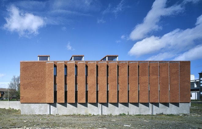 Irski urbanistični inštitut se ponaša »z oblikovano kožo«. V njej sta arhitektki dosegli tudi odprtost stavbe, nekakšne gube, ki med drugim odgovarjajo na potrebe senčenja ter jo spreminjajo v učinkovito in trajnostno stavbo. Foto Ros Kavanagh