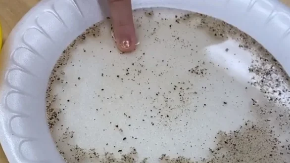 S preprostim eksperimentom lahko otrokom pokažete, kako pomembno je umivanje rok. FOTO: Instagram/@mandysmunchkins_&nbsp;