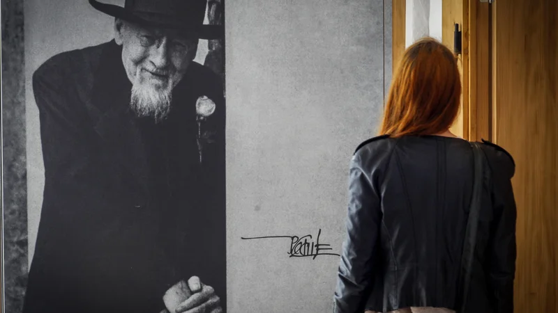 Fotografija: Ljubljana ni zaključena celota, katere podobo bi morali nedotaknjeno ohranjati v neskončnost. Nasprotno, Plečnik je v DNK Ljubljane zapisal drznost, monumentalnost in nenehno preobražanje. FOTO: Mavric Pivk/Delo