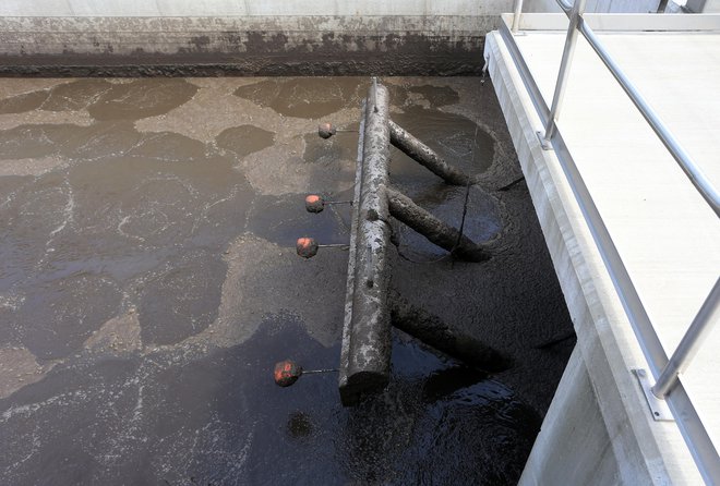 Virusi razpadejo najkasneje v bazenih čistilnih naprav. FOTO: Tadej Regent/Delo