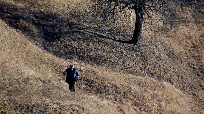 Fotografija: Narava velikodušno skrbi za nas, kako ji vračamo? Foto Roman Šipić