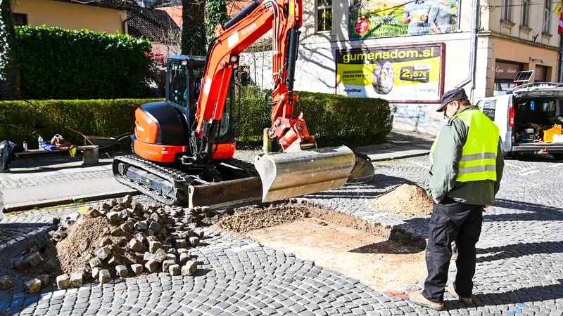 Fotografija: Novo mesto je zaradi arheološke dediščine pomembno v svetovnem merilu. FOTO: MONM