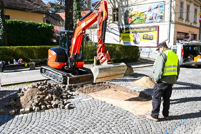 Novo mesto je zaradi arheološke dediščine pomembno v svetovnem merilu. FOTO: MONM