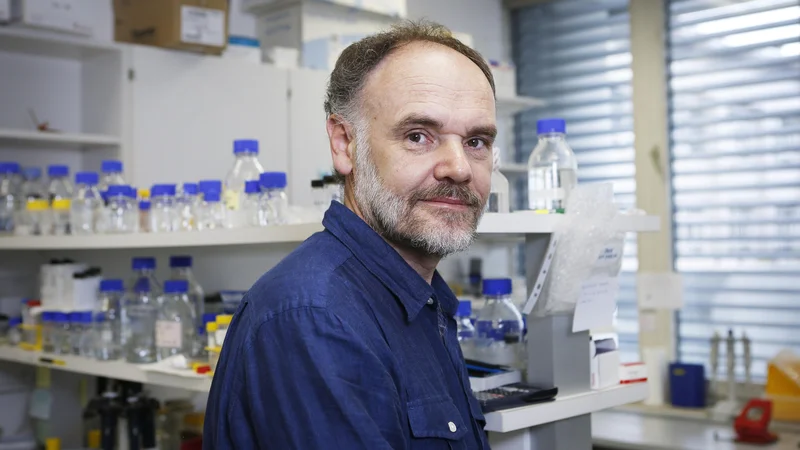 Fotografija: Dr. Roman Jerala se zavzema za preizkus drugih, hitrejših pristopov. FOTO: Jože Suhadolnik/Delo