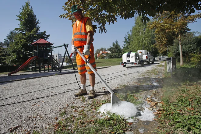 Z alelopatijo bi se lahko izognili pletju plevela FOTO: Leon Vidic/Delo