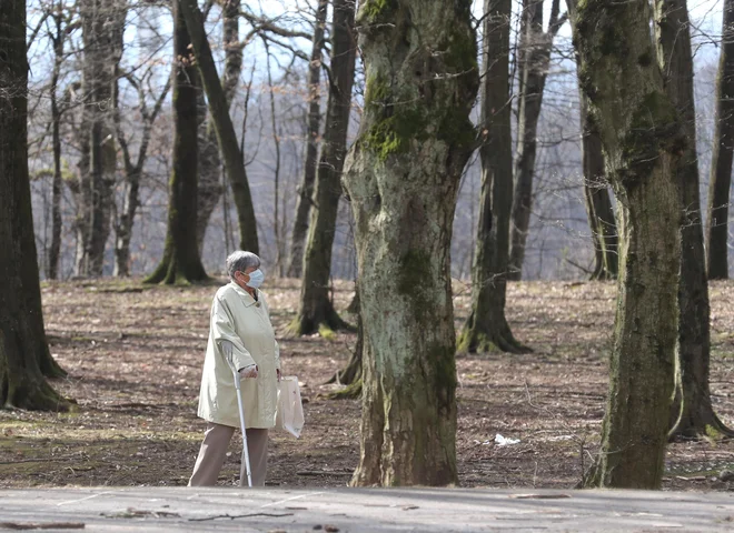 FOTO: Dejan Javornik/Slovenske novice
<div>
<div> </div>
</div>
