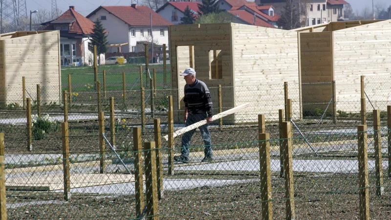 Fotografija: Od ureditve vrtičkov v Dravljah je minilo natančno deset let. FOTO: Mavric Pivk/Delo