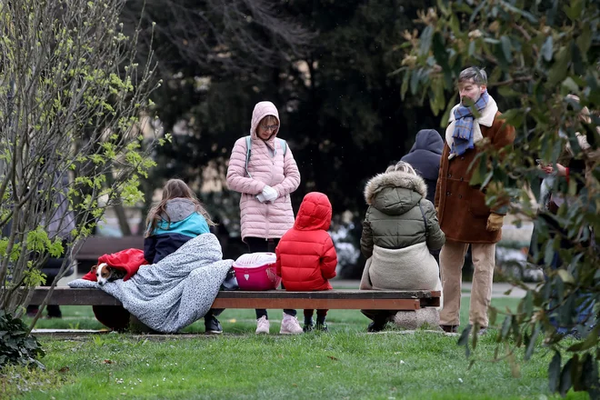 Seizmografi državne mreže potresnih opazovalnic so danes ob 6.24 zabeležili potres z magnitudo 5,1. FOTO: Damir Sencar/Afp