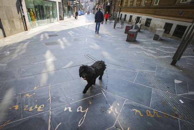 Sprehajanje psa je opravičljiv razlog za izhod tudi v mestih, kjer brezciljne sprehode kaznujejo. FOTO: Jože Suhadolnik/Delo