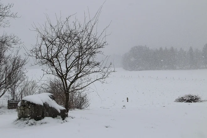 Zasnežena kočevska pokrajina danes zjutraj. FOTO: Simona Fajfar