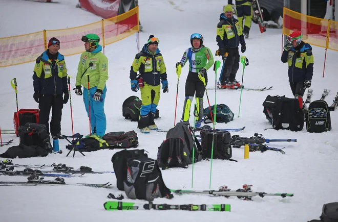 Slovenske lisičke so te dni vadile na Pohorju. FOTO: Tadej Regent/Delo