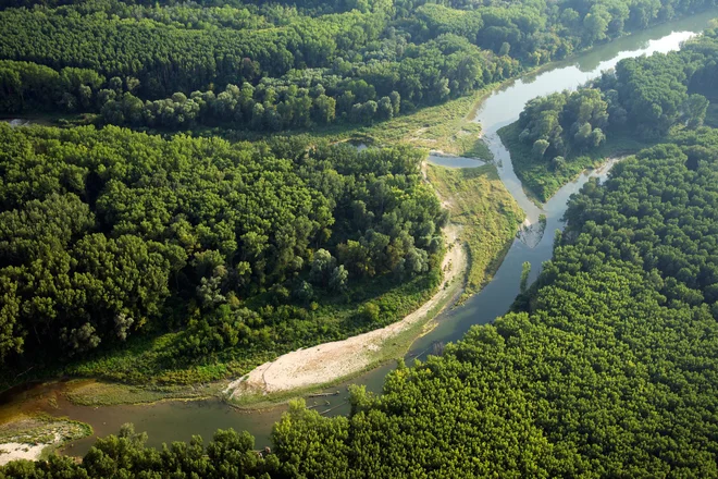 Čez donavska mokrišča vodi znana avstrijska planinska pot 07, dolga je 720 kilometrov. FOTO: Franz Kovacs