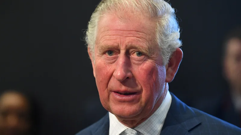 Princ Charles, prestolonaslednik z najdaljšim stažem. FOTO: Pool New/Reuters