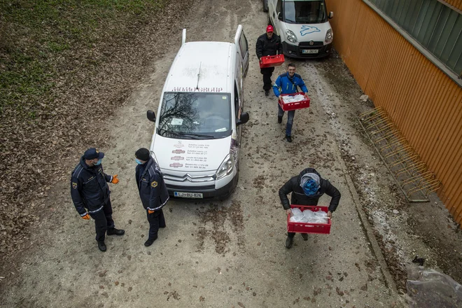 Srbski državljani so hvaležni vsem rojakom v Sloveniji, slovenskim organom in Slovencem, ki so jim zadnja dva dni pomagali. FOTO: Voranc Vogel/Delo