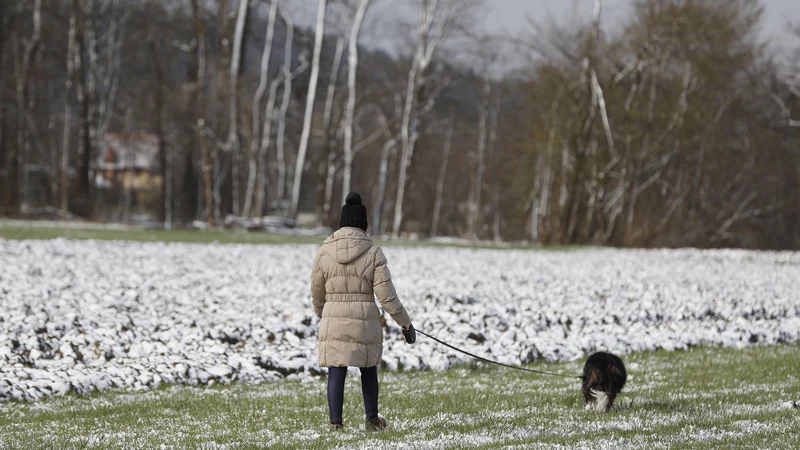 Fotografija: Odlok o začasni prepovedi zbiranja zagotavlja ljudem, da dostopajo do najbližje sprehajalne površine; tudi s psom:
FOTO: Leon Vidic/Delo