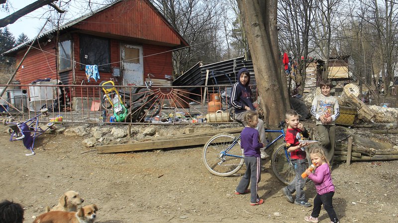 Fotografija: Del romskega naselja Žabjak, kjer Romi živijo v človeka nevrednih življenjskih pogojih. FOTO: Leon Vidic/Delo