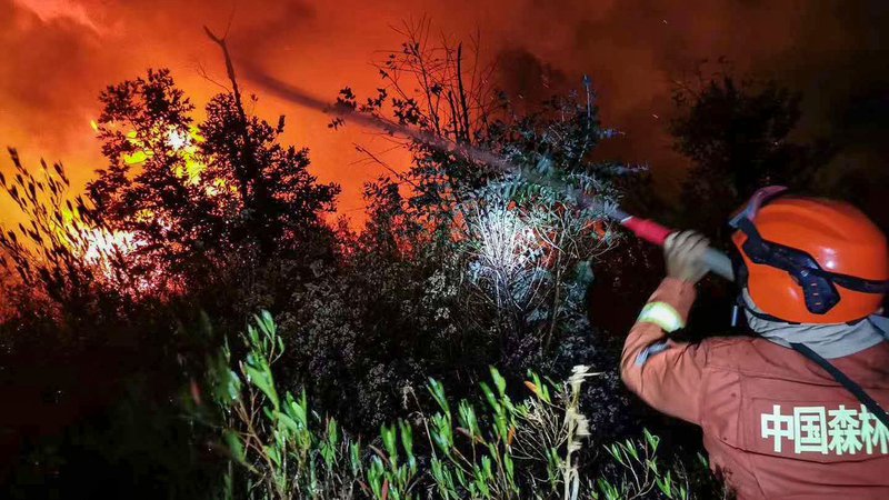 Fotografija: Okrog 1200 kitajskih gasilcev in reševalcev se spopada z gozdnim požarom v pokrajini Sečuan, v katerem je umrlo 19 ljudi. FOTO: Str/Afp