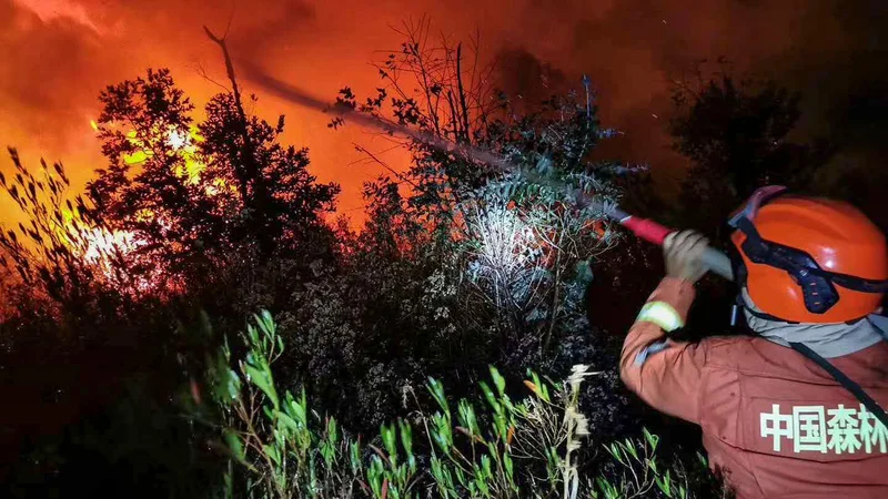 Fotografija: Okrog 1200 kitajskih gasilcev in reševalcev se spopada z gozdnim požarom v pokrajini Sečuan, v katerem je umrlo 19 ljudi. FOTO: Str/Afp
