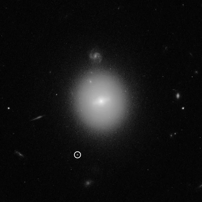 Posnetek Hubblovega teleskopa prikazuje lokacijo srednjemasivne črne luknje 3XMM J215022.4−055108 – v belem krogcu. Veliki beli krog v sredini fotografije je galaksija, ki je zelo oddaljena od naše. FOTO: NASA, ESA in D. Lin
