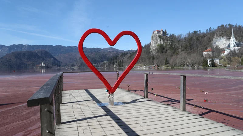 Fotografija: V letih so se razmere v Blejskem jezeru še poslabšale in brez dodatnih ukrepov ne bo šlo. FOTO: Dejan Javornik