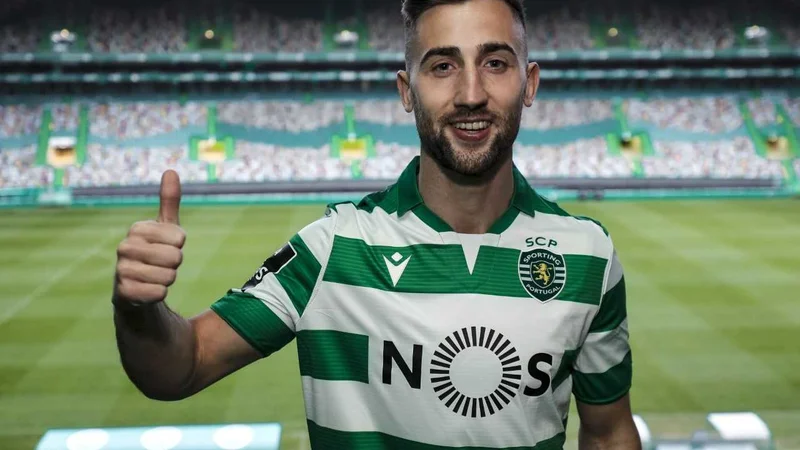 Fotografija: Ljudje se morajo zavedati, da lahko zajezimo širitev problema le v domači karanteni, zatrjuje Šporar. FOTO: Sporting