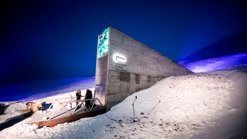 Fotografija: Genska banka je izkopana v goro, ki leži 130 metrov nad morsko gladino. FOTO: Arhiv rastlinske semenske banke Svalbard