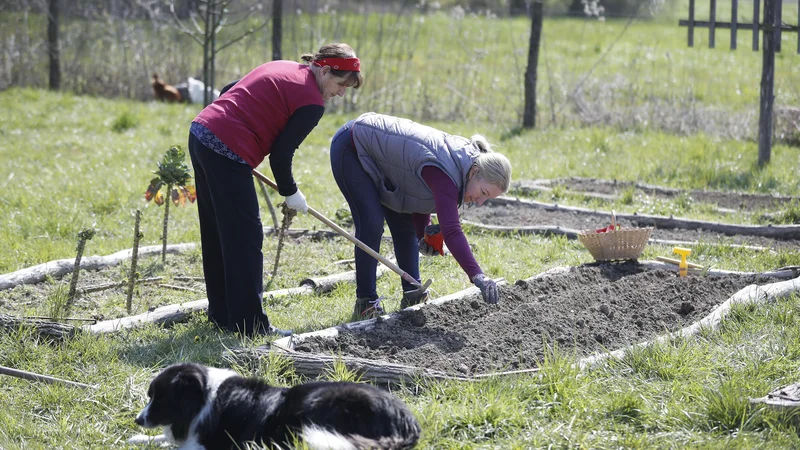 Fotografija: Vrtnarjenje je zagotovo primeren način porabe časa za ljudi, ki so v glavnem doma. FOTO: Leon Vidic/Delo