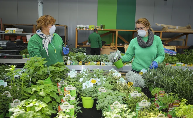 Epidemiji so se prilagodili povsod, na tržnicah in tudi s ponudbo na spletu. FOTO:  Jože Suhadolnik/Delo