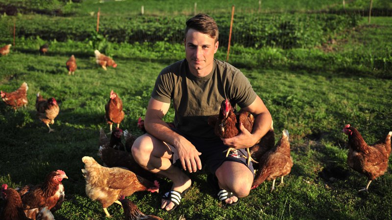 Fotografija: Mladi podjetnik trdi, da lahko kakovostna jajca znesejo le srečne kokoši. FOTO: Damjan Pejovnik