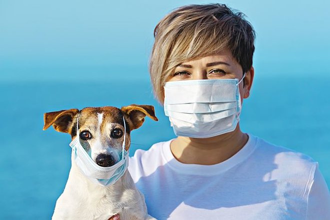 Sekcija za fizioterapijo živali poudarja skrb za živali v času pandemije in predstavlja pet nasvetov za varno ravnanje. FOTO: Bigstock