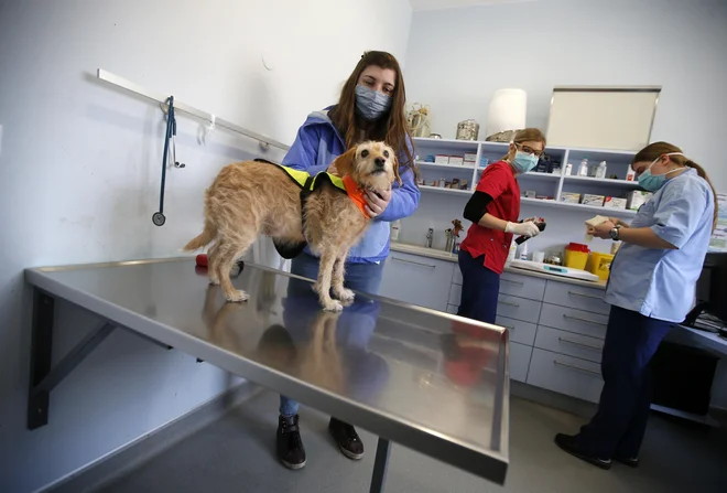 Pri onkoloških pacientih lahko opustitev diagnostike in zdravljenja pomeni bistveno poslabšanje bolezni, zato ti ne smejo čakati. FOTO: Matej Družnik