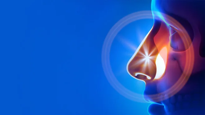 Z nosnim dihanjem telo prejme približno četrtino vsega potrebnega dušikovega oksida. FOTO: Shutterstock