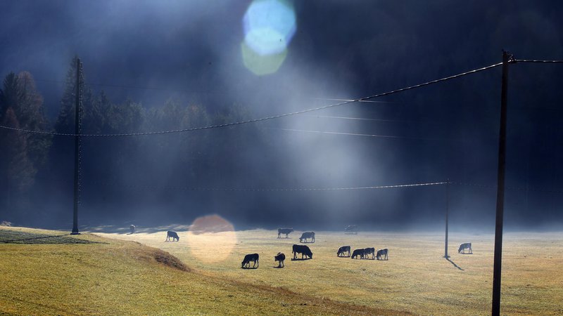 Fotografija: Počasi pa vsi dojemamo, da ima življenje v zakotnih hribovjih svojevrstne prednosti. FOTO: Matej Družnik/Delo